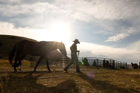 Discover the American Female Ranchers Transforming Modern Ranch Life