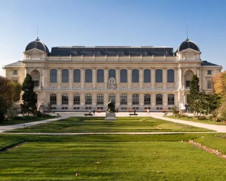 Priceless Golden Specimens Stolen in Daring Robbery at French Natural History Institution