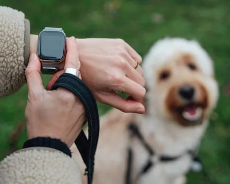 The Truth About Fitness Trackers? Daily Existence Is Better Devoid of a Nagging Zealot on Your Wristwear